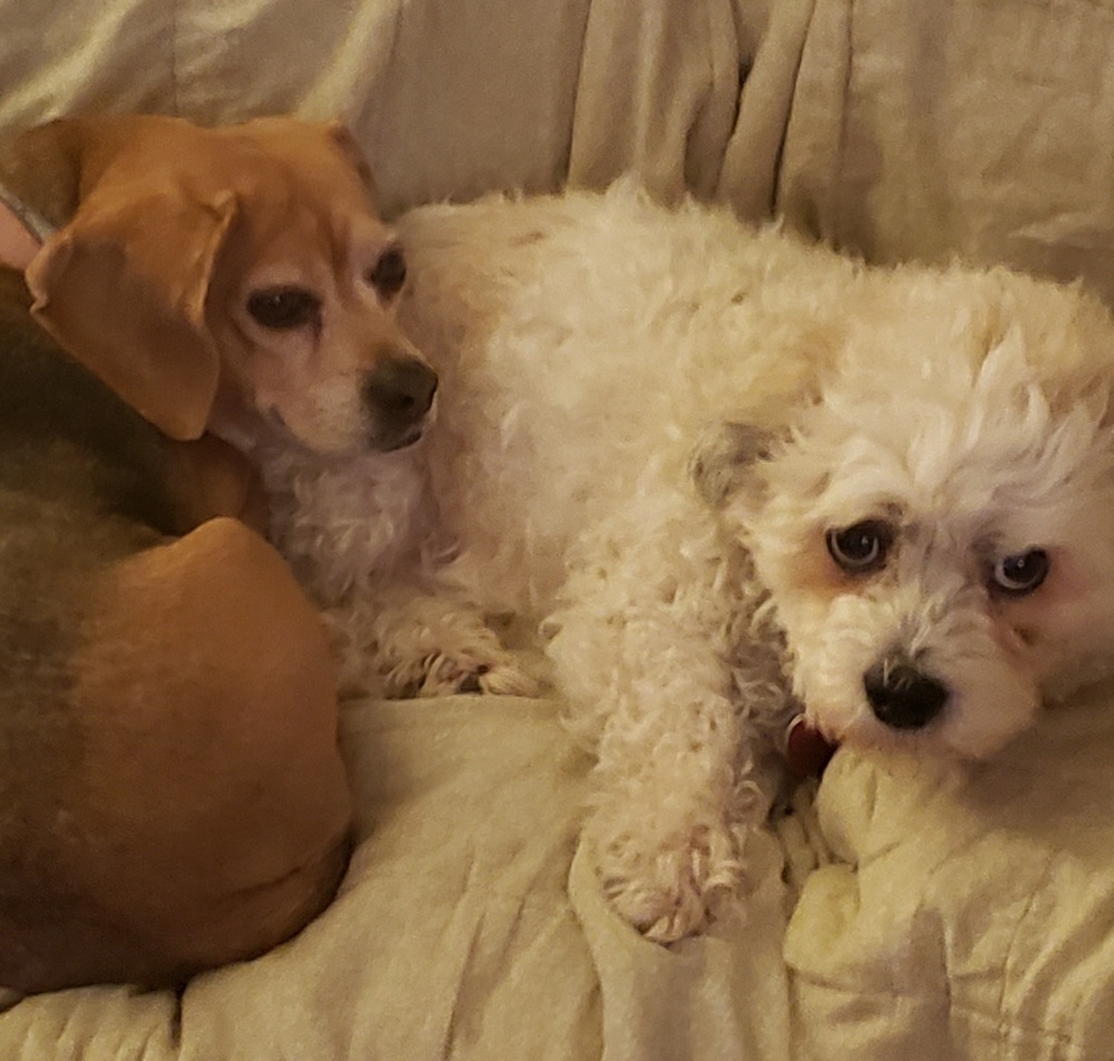 Meet your Posher, Renee